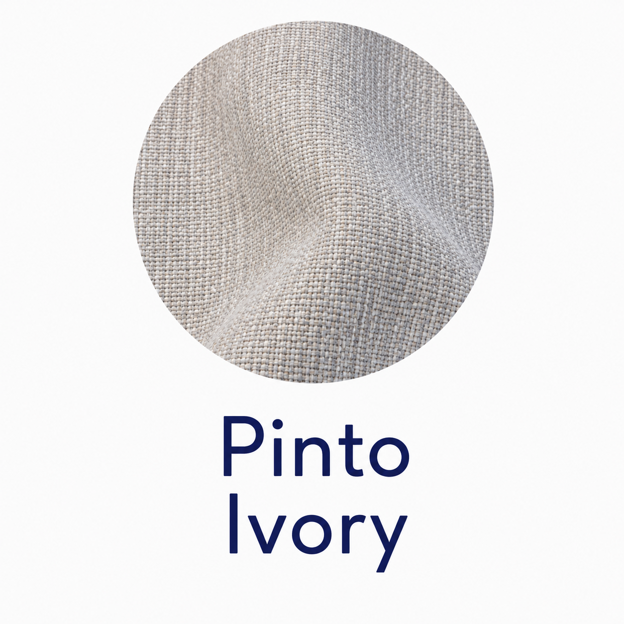 Pinto Ivory